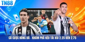 Cá Cược Bóng Đá - Khám Phá Kèo Tài Xỉu 2.25 Đến 2.75