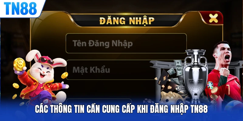 Các thông tin cần cung cấp khi đăng nhập TN88